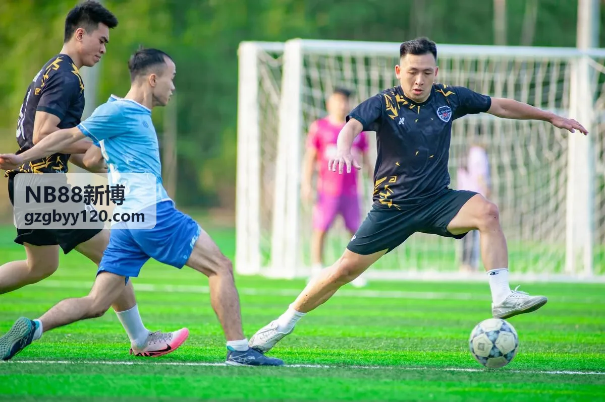 NB88新博数据管理