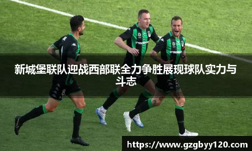 emc易倍体育